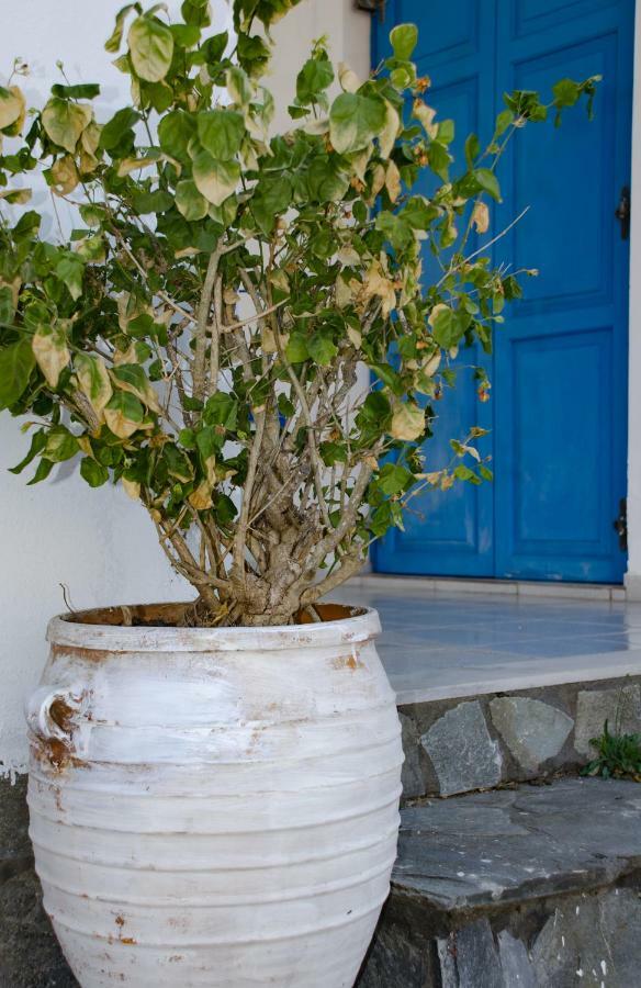 Villa Georgia Vasilikí Exterior foto